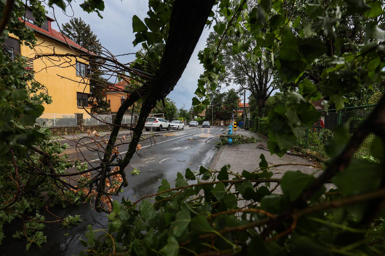 Zagreb: Novo nevrijeme napravilo novu štetu, u Voćarskoj ulici palo stablo