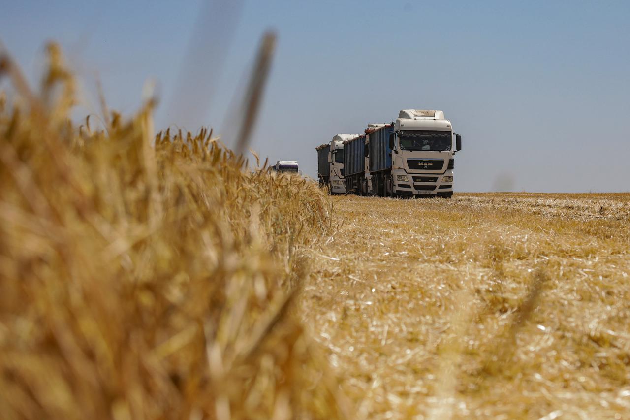Barley harvest in Odesa region amid Russia's attack on Ukraine