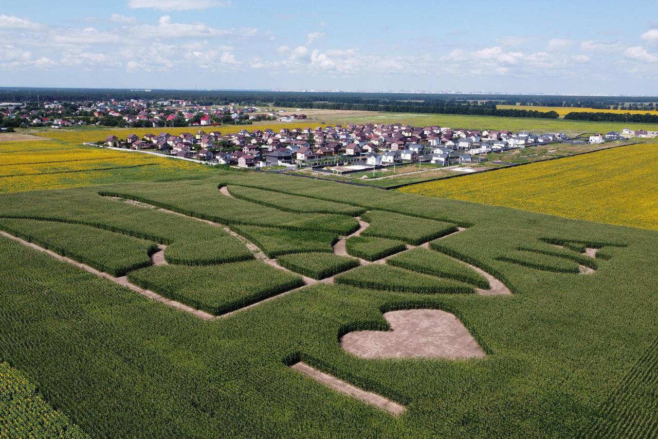 FILE PHOTO: An aerial view shows corn stalks planted by Ukrainian farmers in the shape of the national coat of arms outside Kyiv