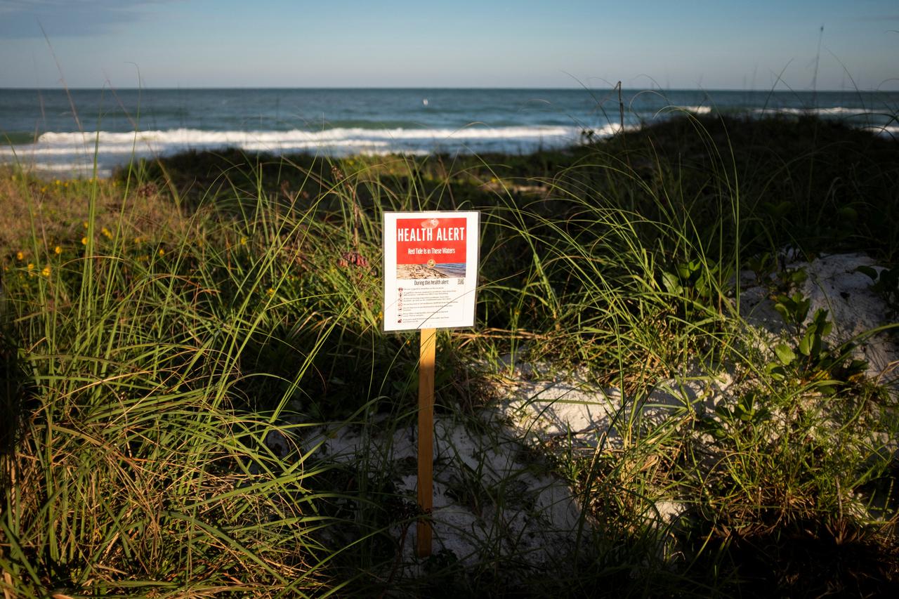 A health alert warning sign is seen at an entrance to the beach as a red tide affected the Florida west coast, in North Redington Beach, FL