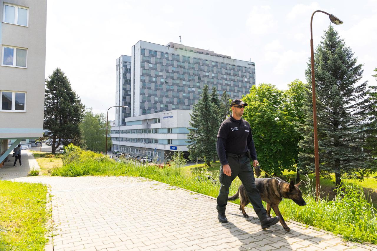 Police officer with a dog inspect area around the F.D. Roosevelt University Hospital