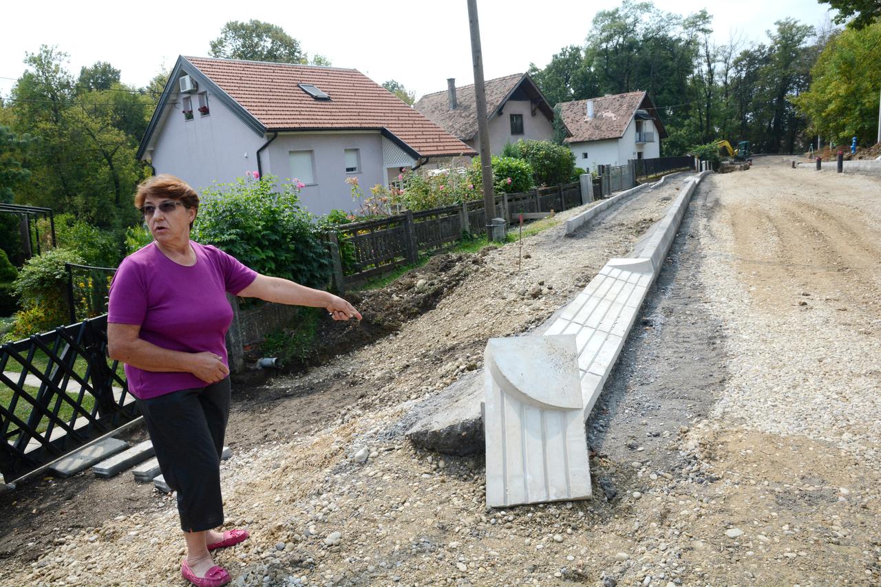 cesta, vinogradska ulica sisak