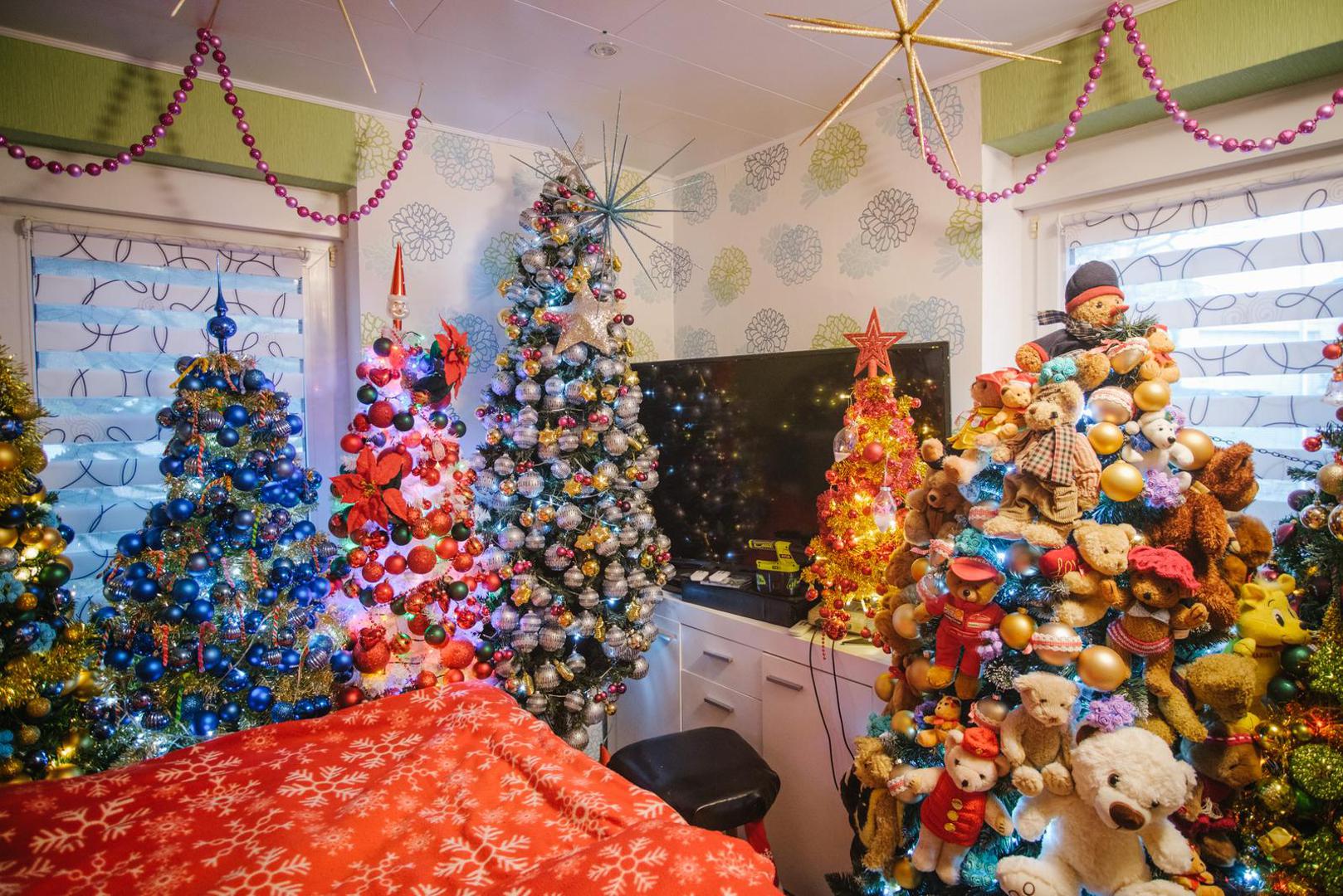 06 December 2021, Lower Saxony, Rinteln: Decorated Christmas trees stand in a house in Rinteln. Thomas Jeromin has set a new world record with 444 Christmas trees in his house. The record institute for Germany was there on Monday to check and confirmed the record. Photo: Ole Spata/dpa
