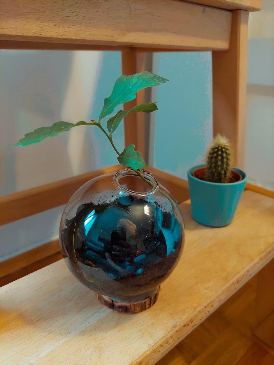 Posvećenost PBZ-a društveno odgovornomu poslovanju