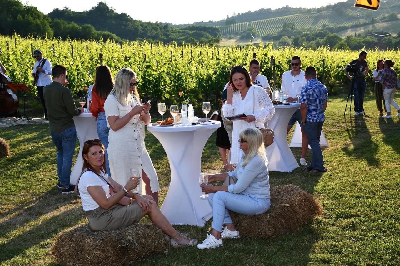Enološko-gastronomska manifestacija "Zalazak u vinogradu"