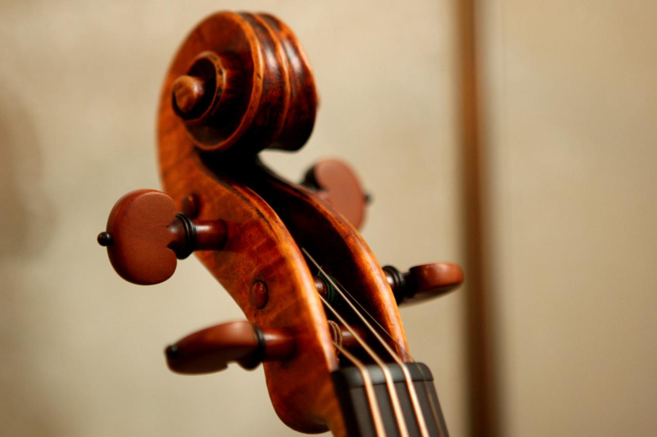 Violina (1)