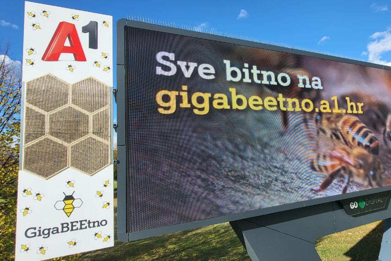 GigaBEEtno
