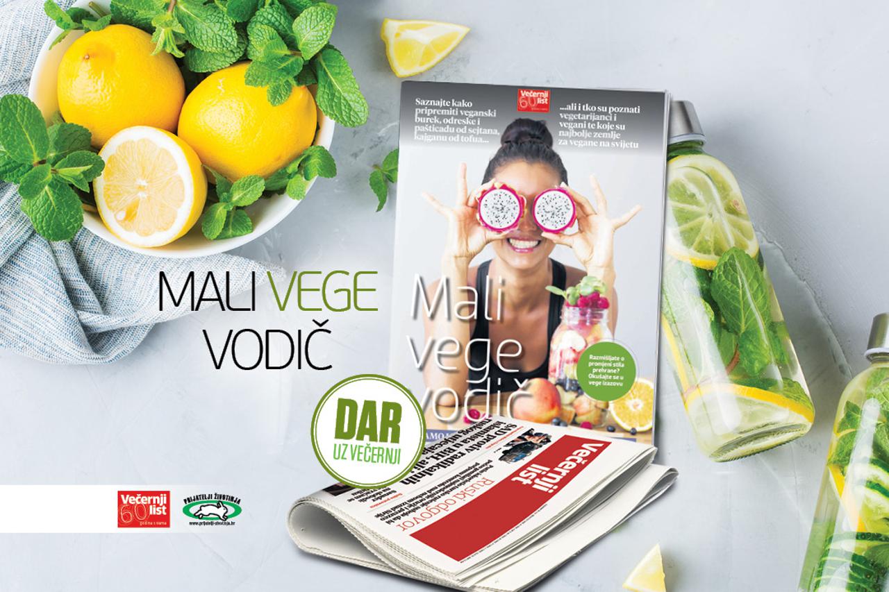 Vege prilog