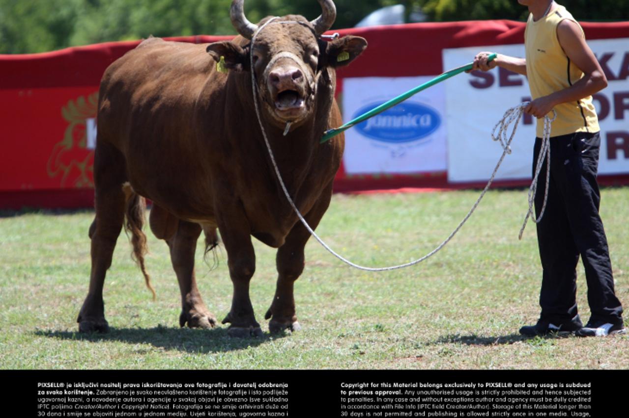 '16.06.2013., Radosic - 20. jubilarna Seoska olimpijada i borba bikova u eko-etno selu Skopljanci.  Photo: Ivo Cagalj/PIXSELL'