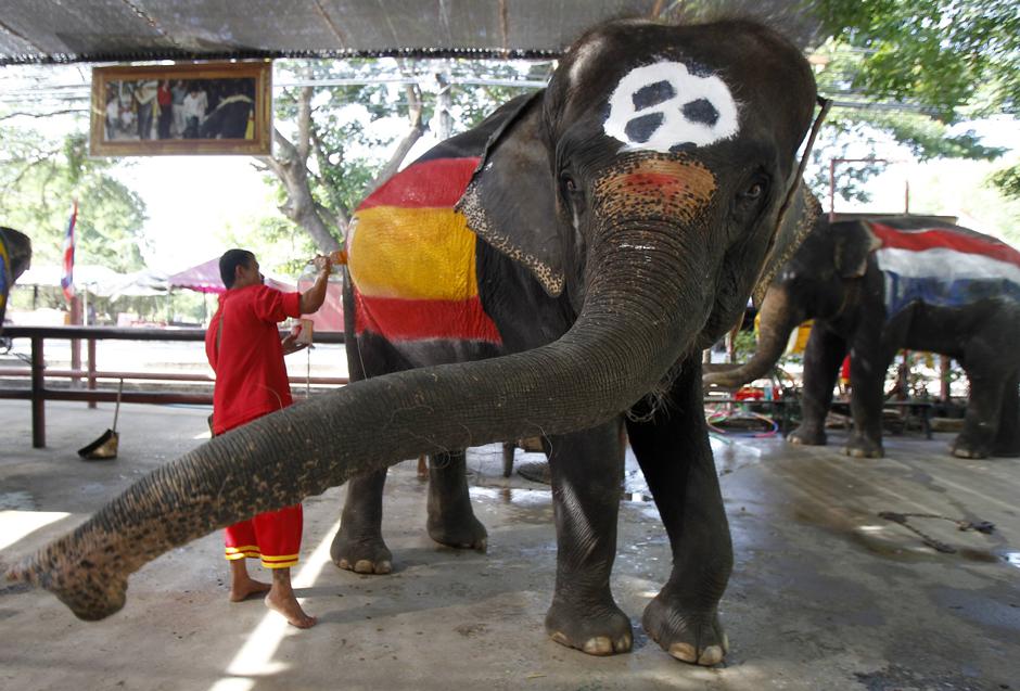 Tajland,slonovi,nogomet
