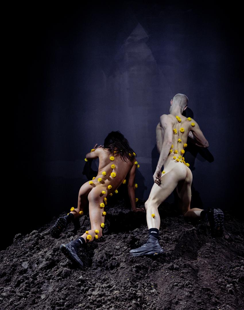 Køteren og Terrieren: SANCTOMB