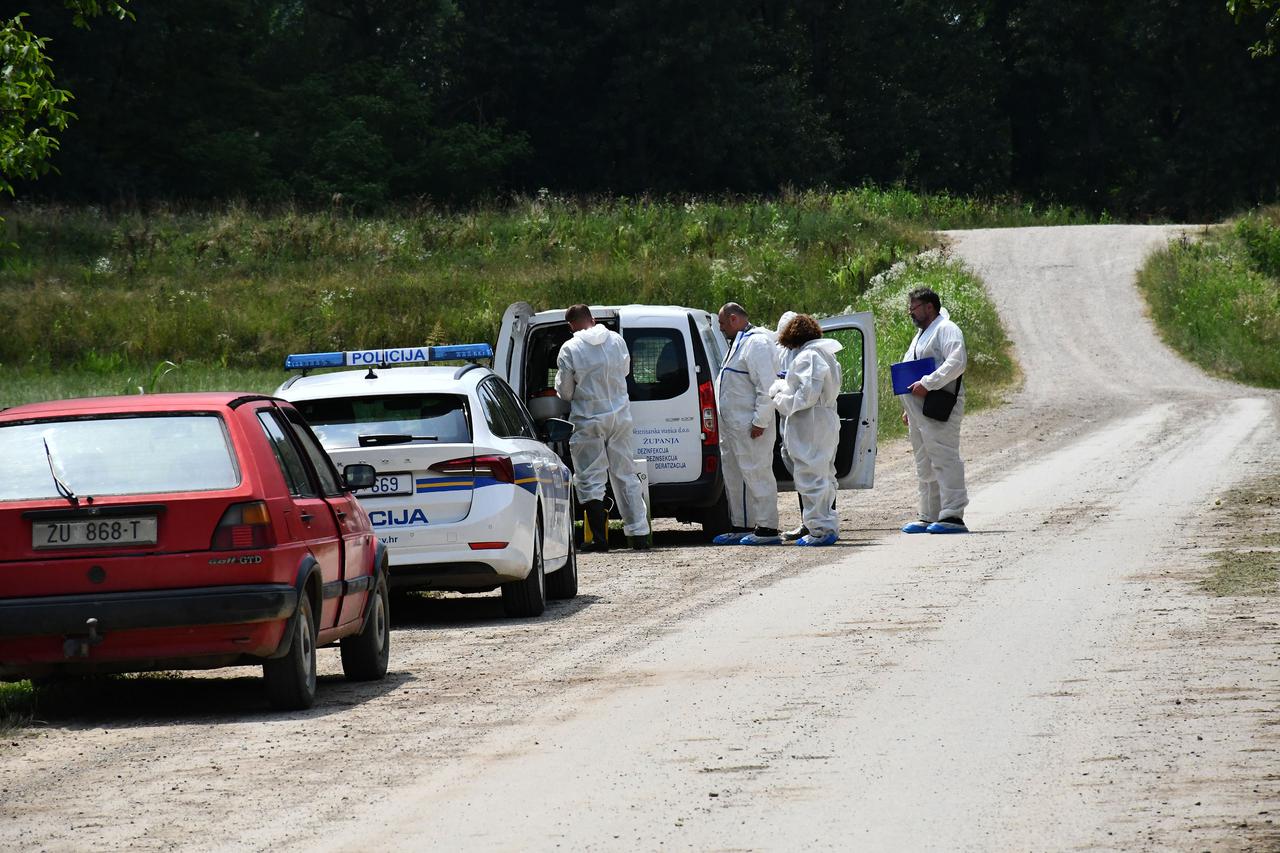 Posavski Podgajci: U selima uz Savu prvi puta u Hrvatskoj pojavila se afrička svinjska kuga 