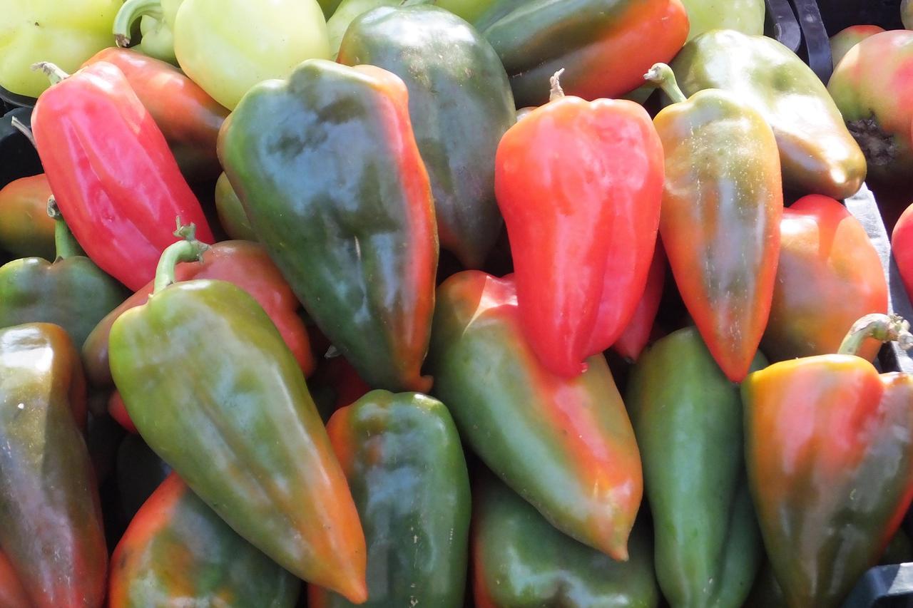 paprika