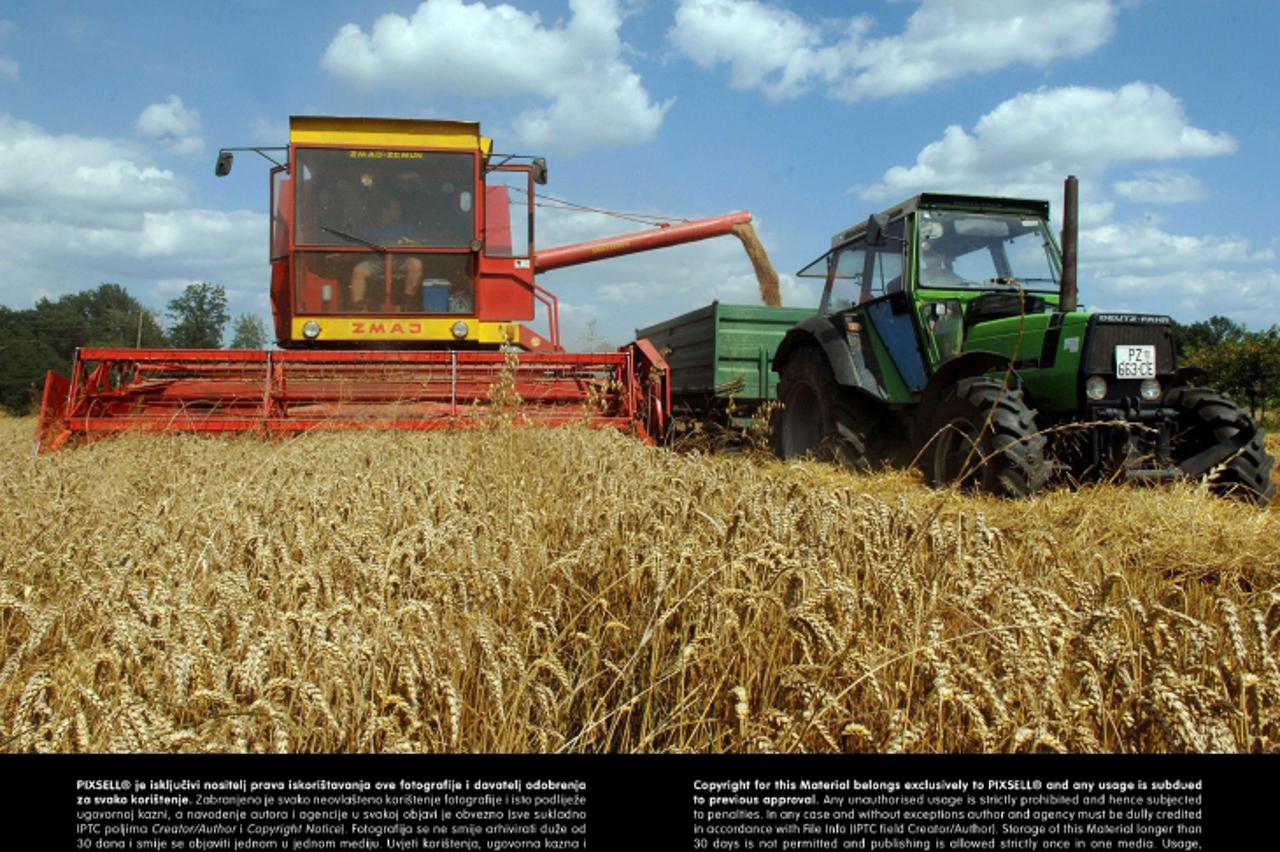 '18.07.2013., Biskupci - Zetva psenice na njivama pozeskih ratara je u punom jeku. Kasni zbog ucestalih kisa proteklih dana. Prinosi su i pored teskoca dobri. Photo: Dusan Mirkovic/Pixsell'