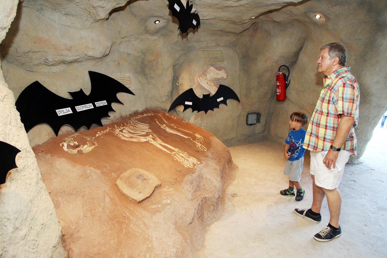 30.08.2014., Zagreb - Dani sismisa Nije lako zivjeti naopako u Zooloskom vrtu. U krugu ZOO-a su se organizirale razne informativne radionice i igre za djecu vezane uz sismise. Photo: Goran Jakus/PIXSELL