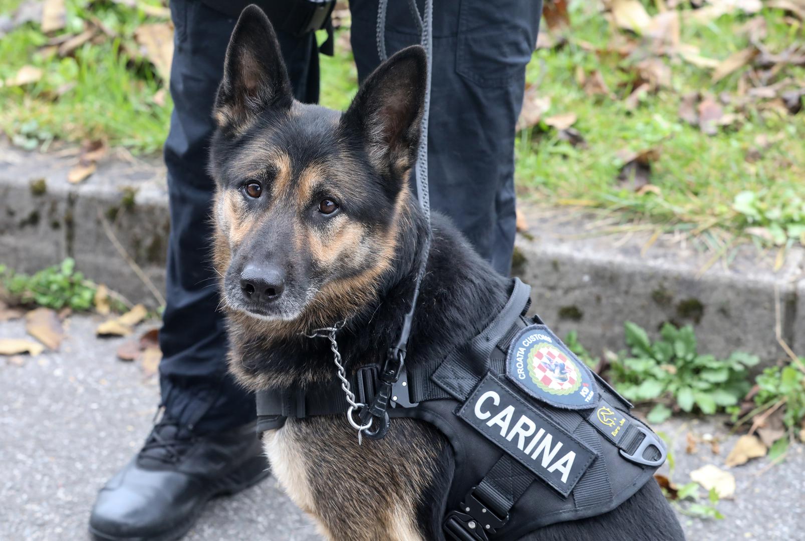 Uvoz bilja, biljnih proizvoda i drugih predmeta iz trećih zemalja podliježe zabranama i ograničenjima uvoza sukladno posebnim propisima EU o uvozu biljaka i biljnih proizvoda koji su doneseni kako bi zaštitili biljke u EU i održali ih zdravima