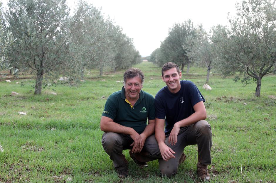Nadina: Na mjestu gdje je 1991. godine bilo poprište borbi, danas je najveći ekološki maslinik Hrvatske -  Dolina Maslina