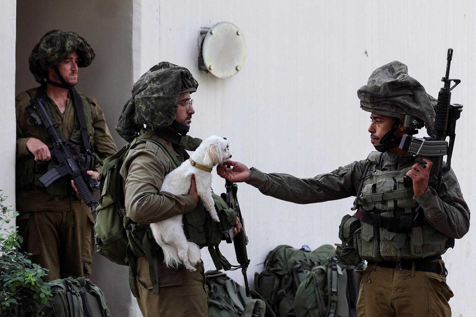 An Israeli soldier pets a rescued dog near a bomb shelter in Kibbutz Kfar Aza, in southern Israel, October 10, 2023. REUTERS/Ronen Zvulun Photo: RONEN ZVULUN/REUTERS