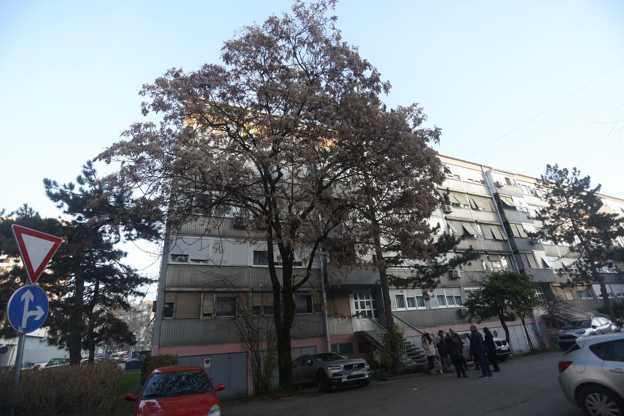 Zagreb: Stanari se bore protiv siječe stabla u Kikićevoj ulici