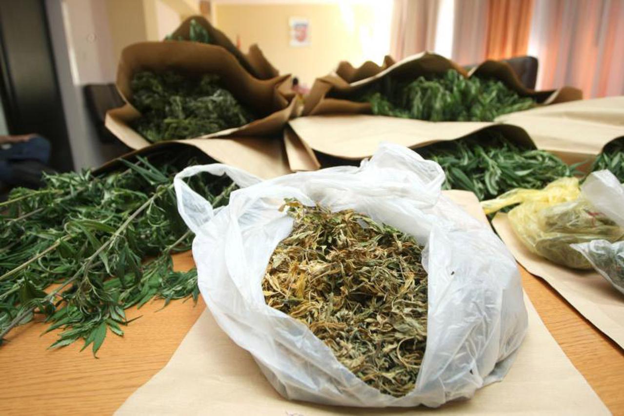 marihuana (1)