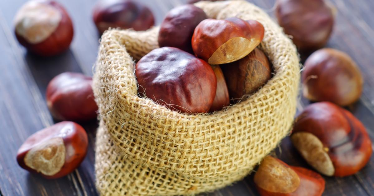 Jesenska poslastica kojoj je teško odoljeti: Imamo 6 jednostavnih recepata s kestenima