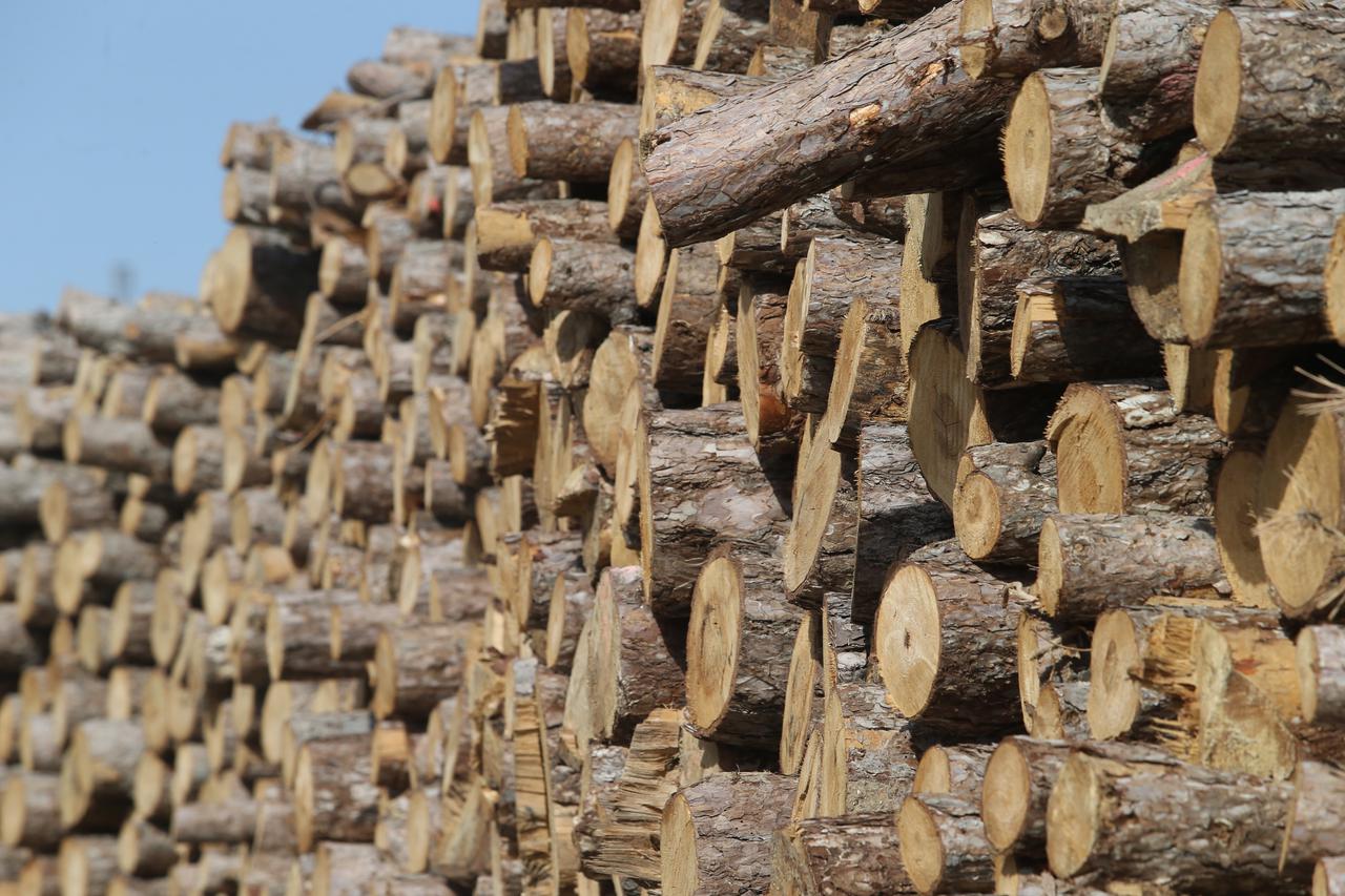 Ilustracija drva za ogrjev