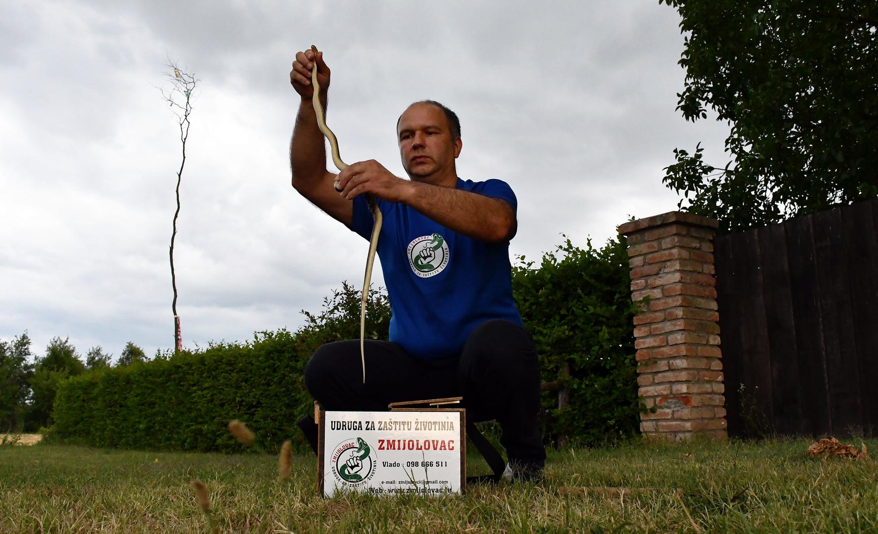 05.07.2022., Perkovci - Zmijar Vlado Ladjarevic iz Udruge za zastitu zivotinja "Zmijolovac" ulovio je zmiju koja je usla u obiteljsku kucu Alenke Tulicic Mihelcic u Perkovcima.
 Photo: Ivica Galovic/PIXSELL