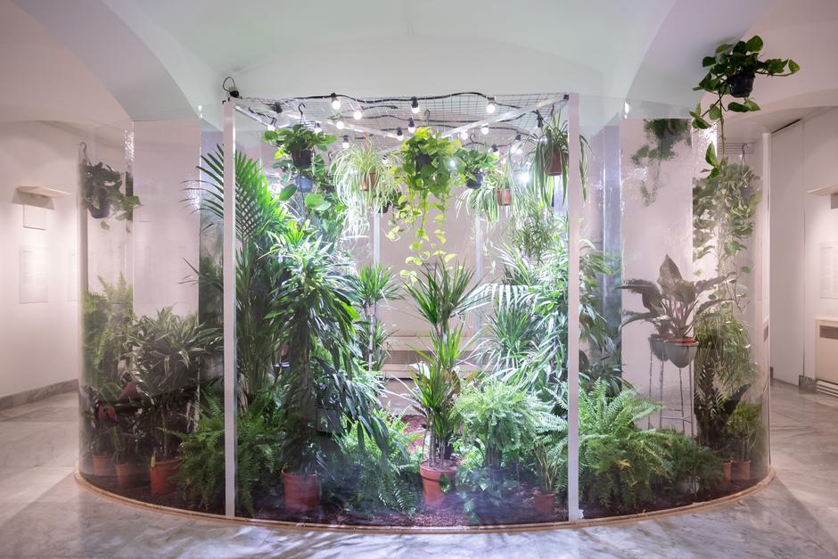 miss7 Muzej prijateljstva