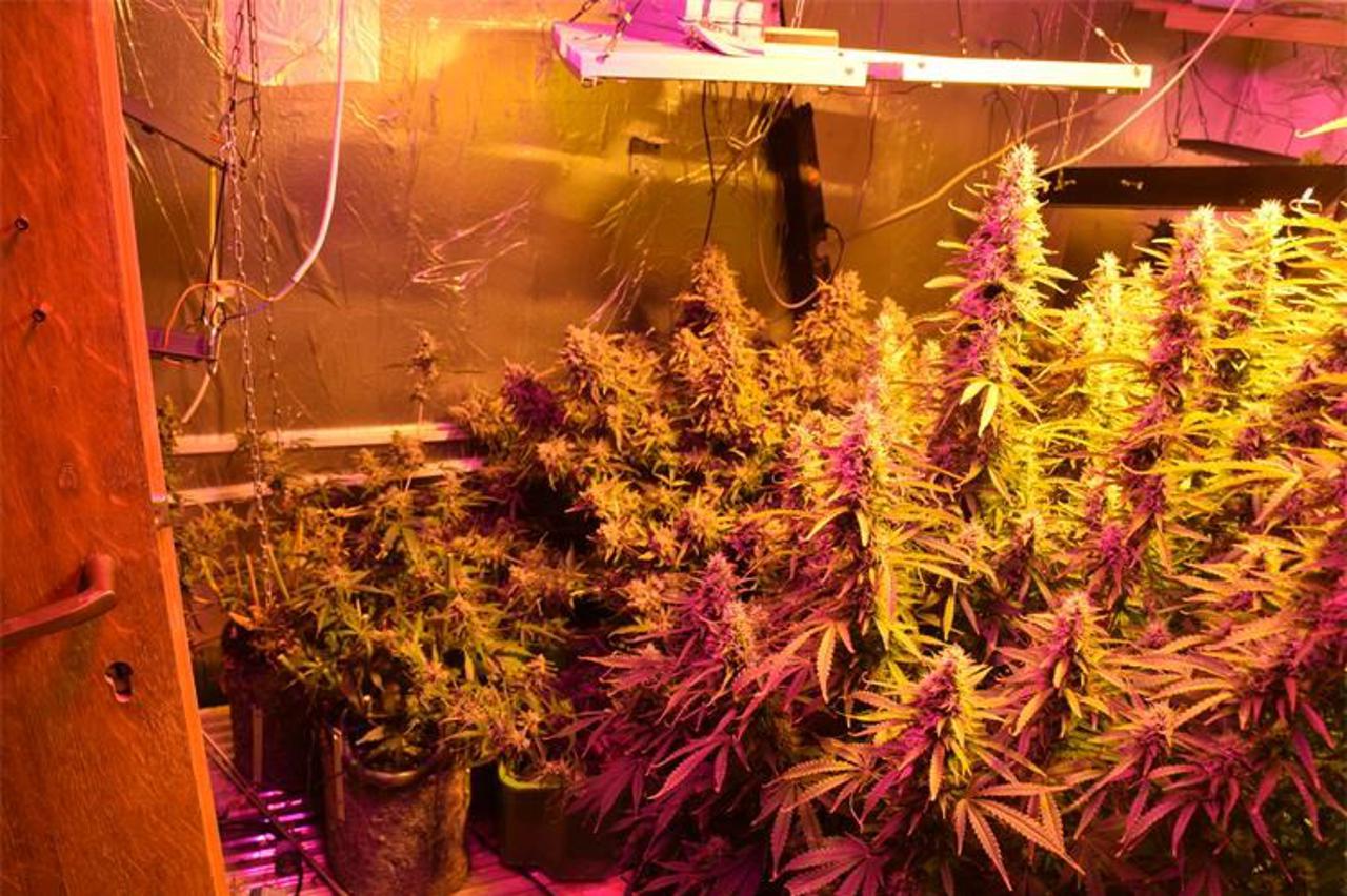 Osumnjičeni je u zakonskom roku predan pritvorskom nadzorniku