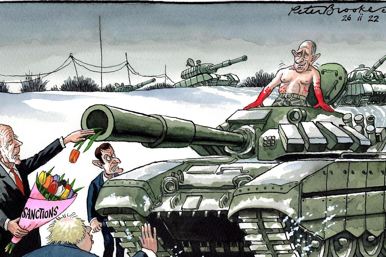 Peter Brookes cartoon for the Times