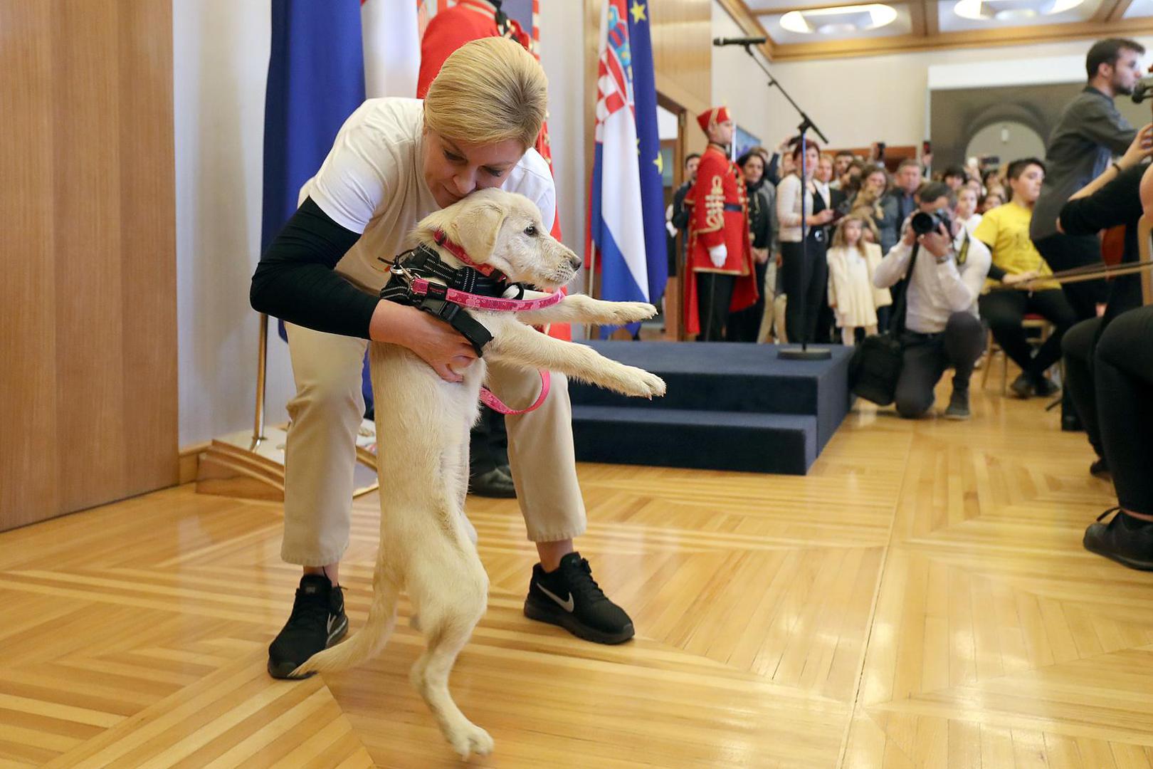 Predsjednica i "prvi" psić na Danima otvorenih vrata povodom Dana zaštite životinja 27.10.2018., Zagreb - U Uredu predsjednice odrzao se Dan otvorenih vrata na temu: Udomi, ne kupuj!, a u povodu obiljezavanja Dana zastite zivotinja. r"nPhoto: Goran Stanzl/PIXSELL 
