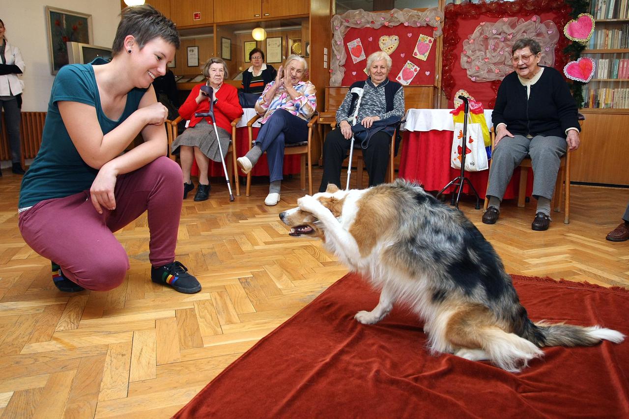 Kujica Kota i Ana Odak