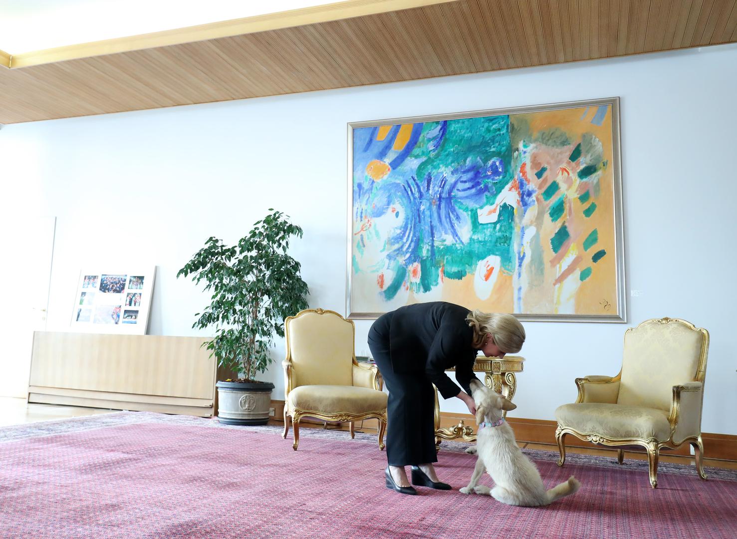 Predsjednica je nenadano, u listopadu prošle godine odlučila udomiti kujicu Kiki iz virovitičkog Skloništa za životinje.