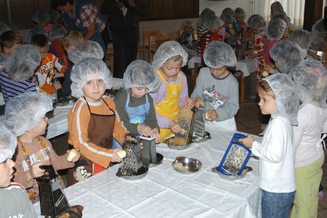 '31.05.2010., Bjelovar - U bjelovarskim djecjim vrticima zbog velike liste cekanja ostalo neupisano oko 400 djece Photo: Damir Spehar/PIXSELL'