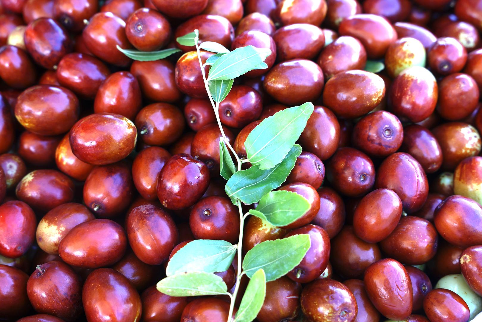 Mogu se jesti svježe, sušene ili prerađene u džemove i kompote, a cijenjene su zbog svojih nutritivnih i ljekovitih svojstava.