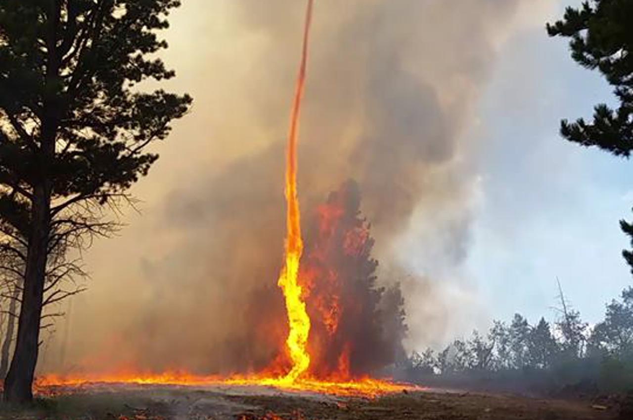 firenado