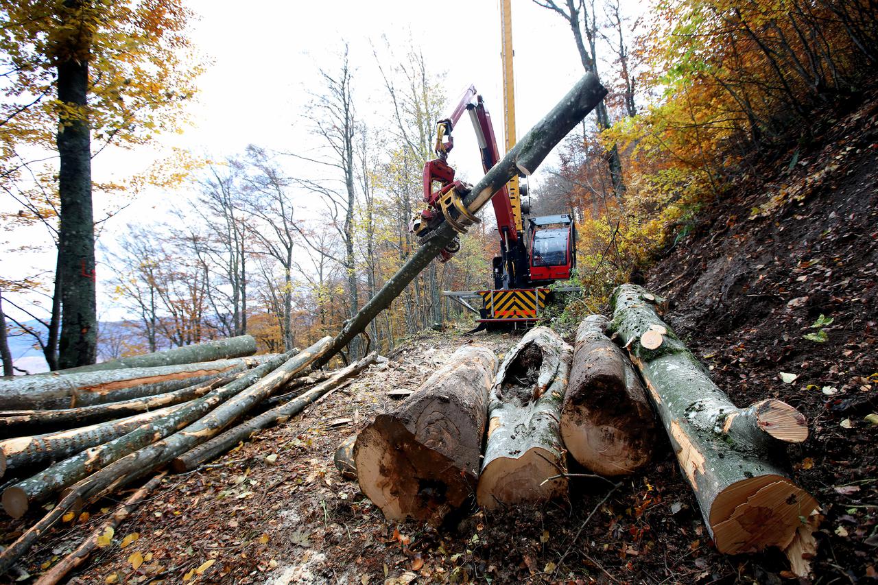 Ogulin: Radnici Hrvatskih šuma koriste novu žičaru za izvlačenje stabala iz šume 