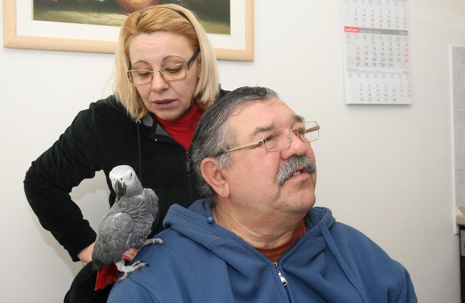 Mile Dedaković Jastreb