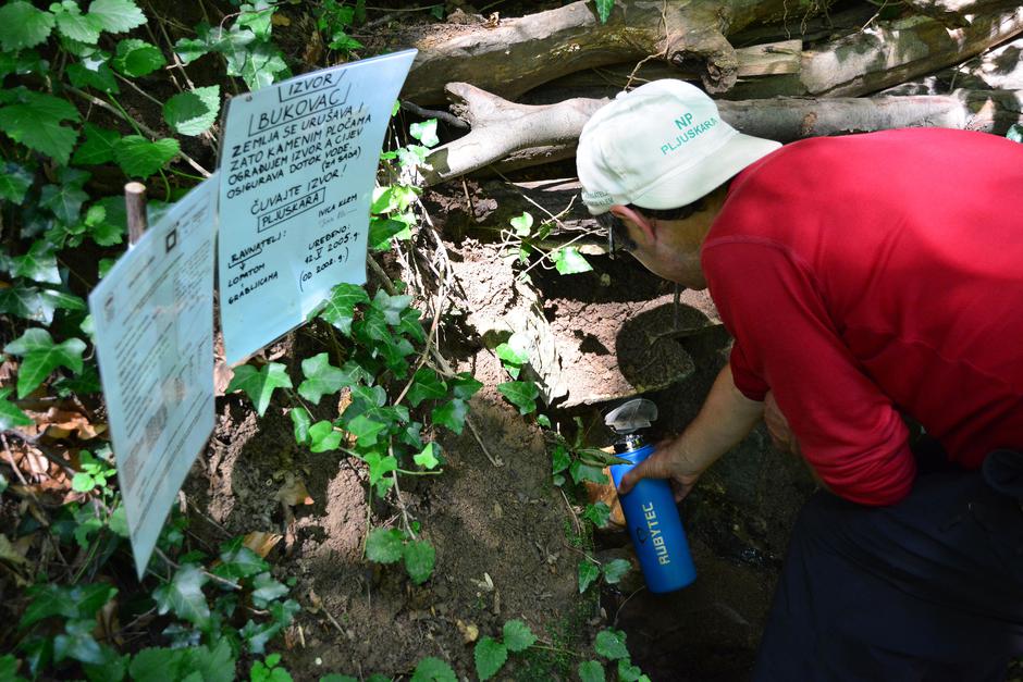 Diljsko oko i čarobna šuma Pljuskara