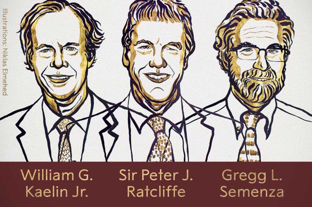 Nobelova nagrada za medicinu za 2019: William G. Kaelin Jr., Sir Peter J. Ratcliffe i Gregg L. Semenza