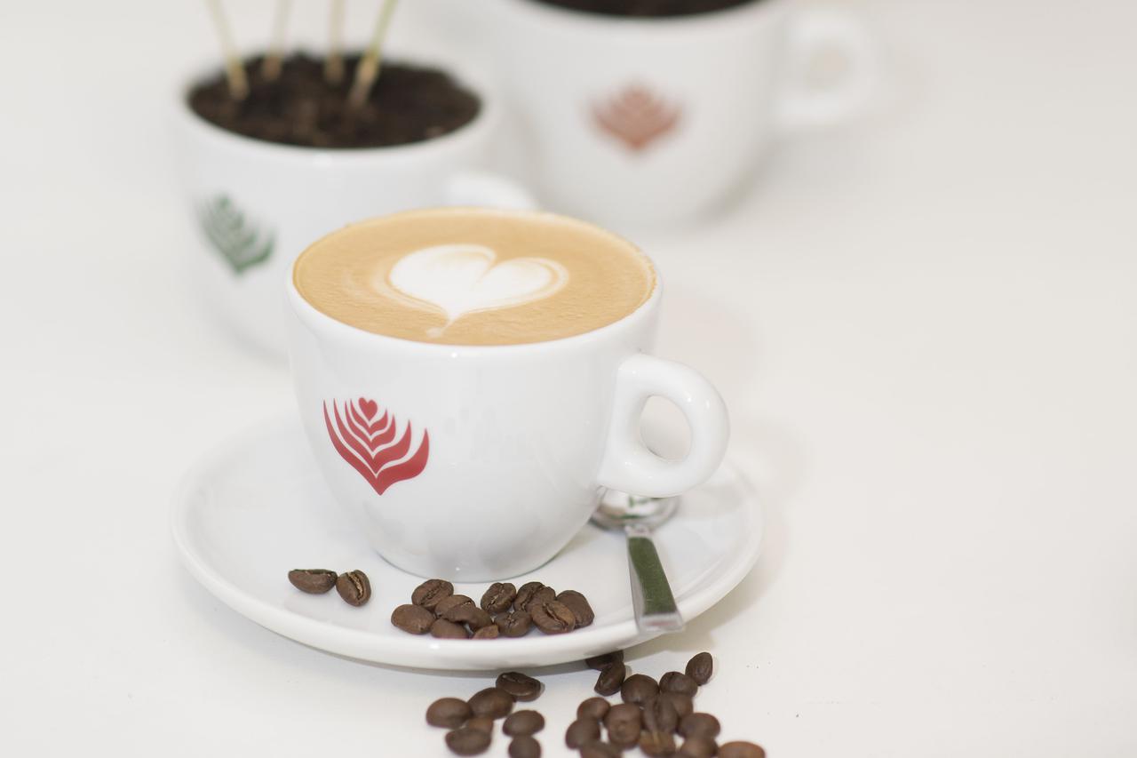 Lively Roasters & Cogito Coffee prvi su uvoznici specijalitetnih kava u Hrvatskoj
