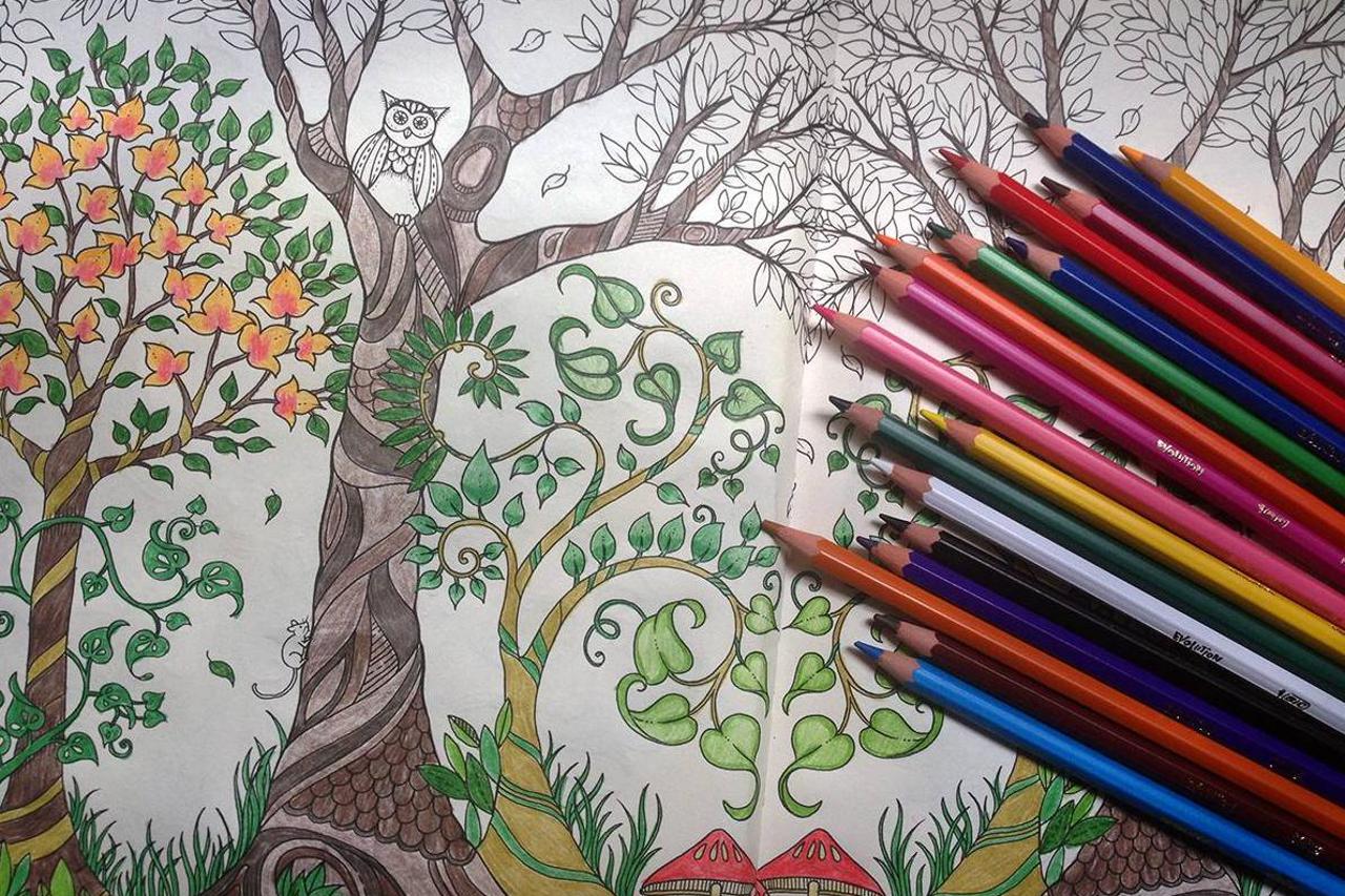 Riješite se stresa uz svjetski hit - bojanke za odrasle