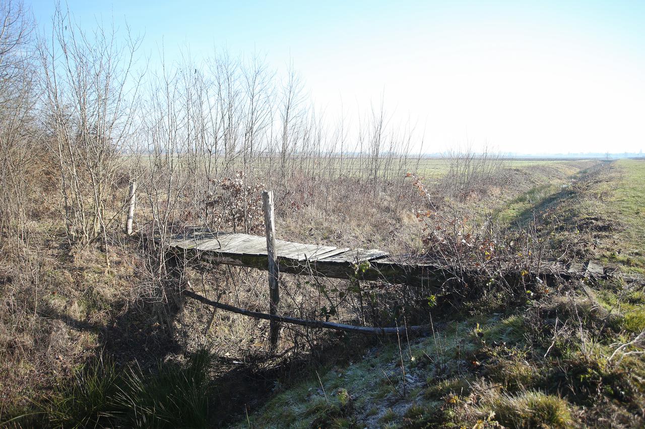 Tinejdžer u polju izbo vršnjaka