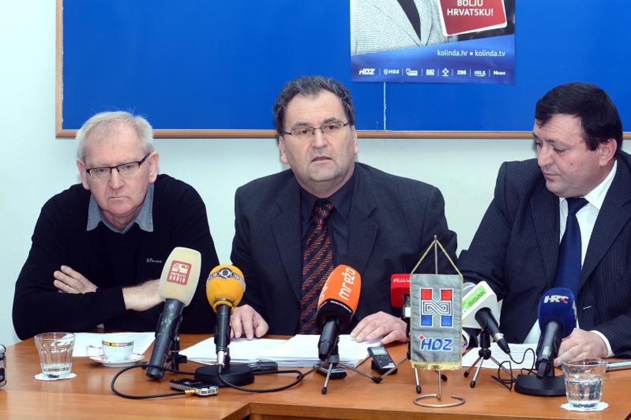 hdz sisak, željko krapljan