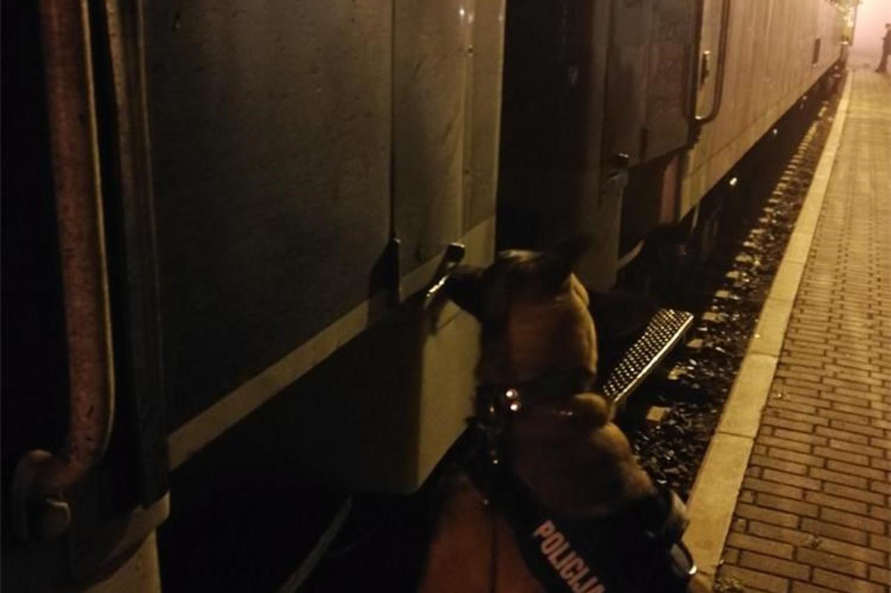 Pas nanjušio trudnicu i njezina supruga