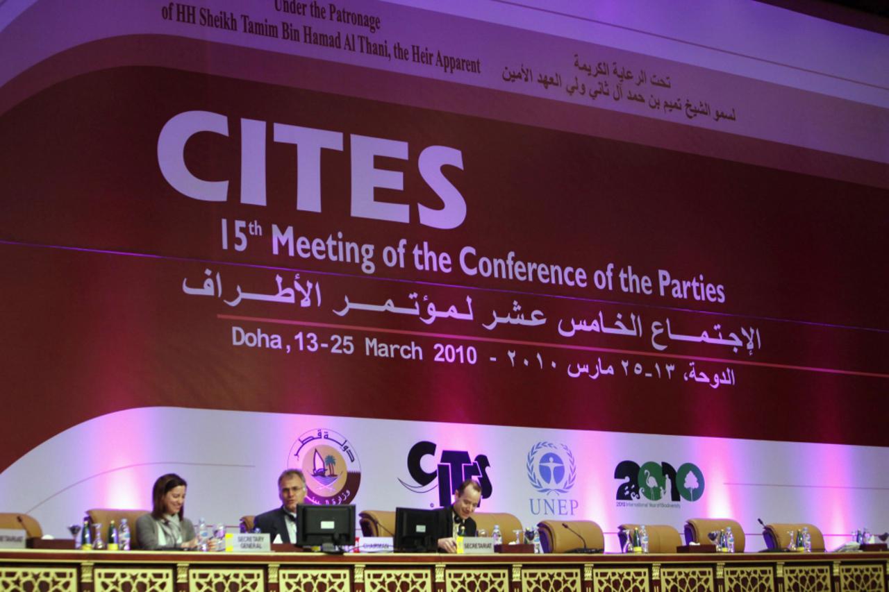 cites