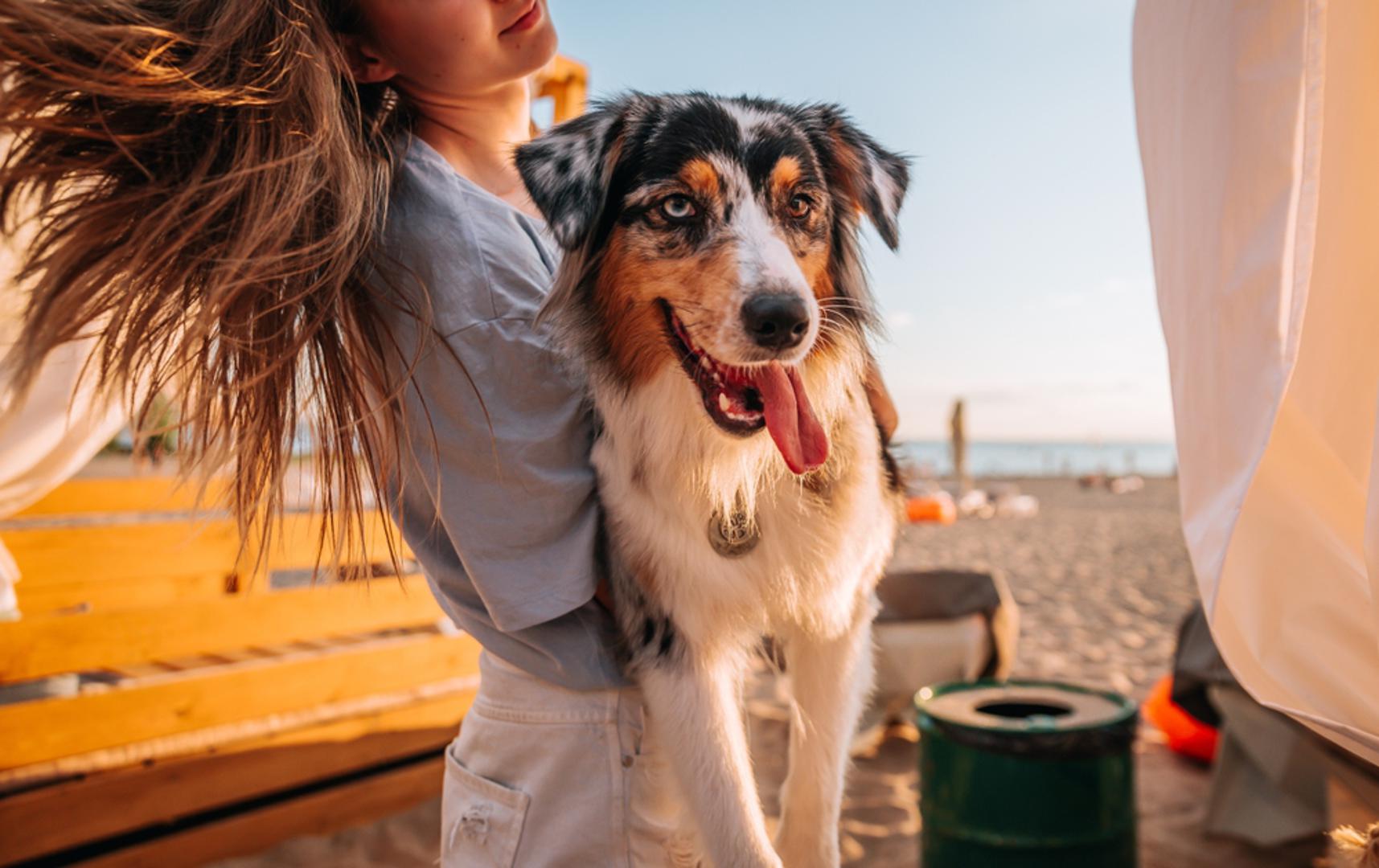 “Psi ne vole na komplicirane načine”, zaključuje Lagercrantz, “Dovoljno je promatrati njihove male geste – u njima se krije čitav svijet ljubavi i privrženosti”.