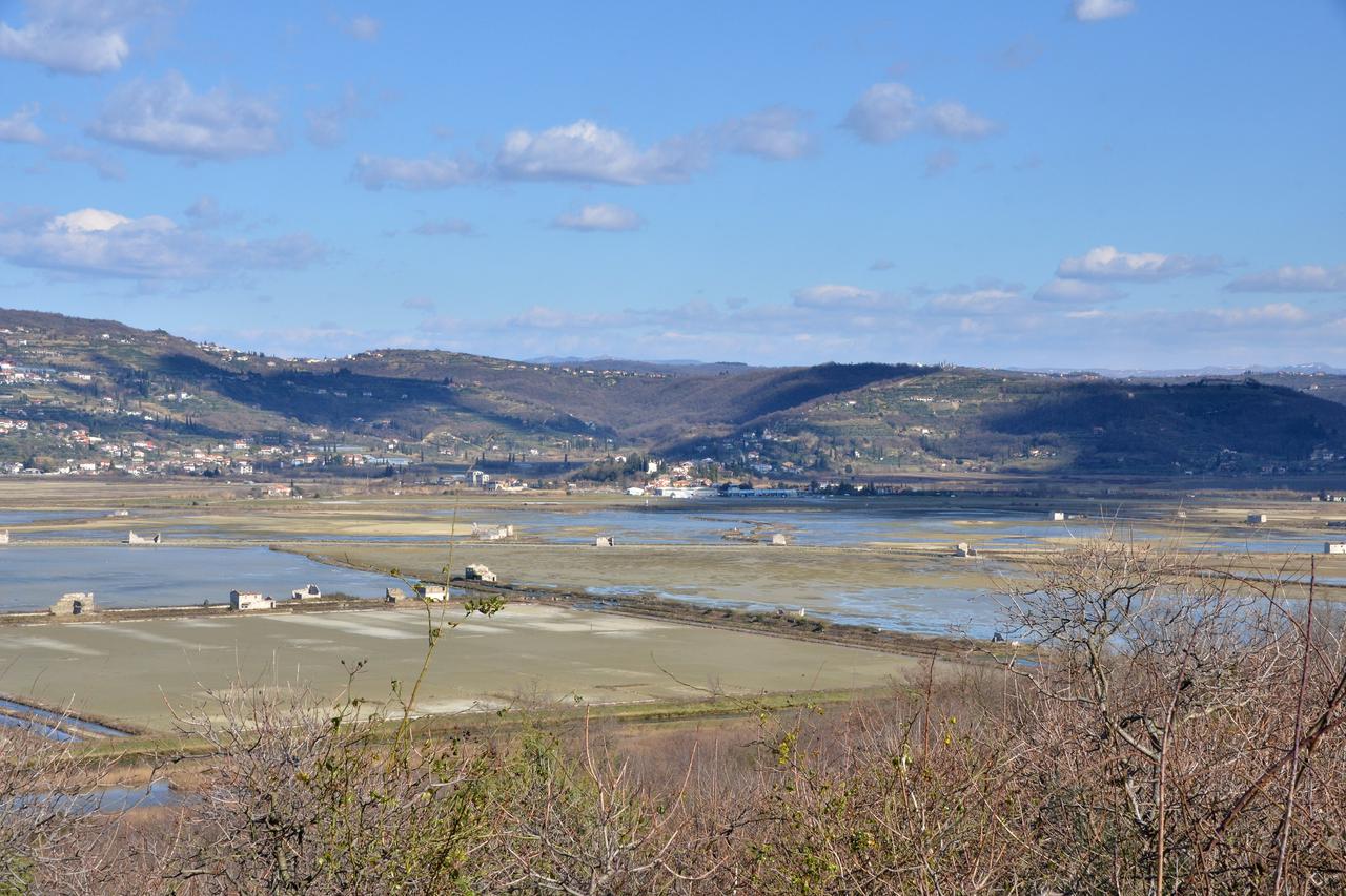 Piranski zaljev