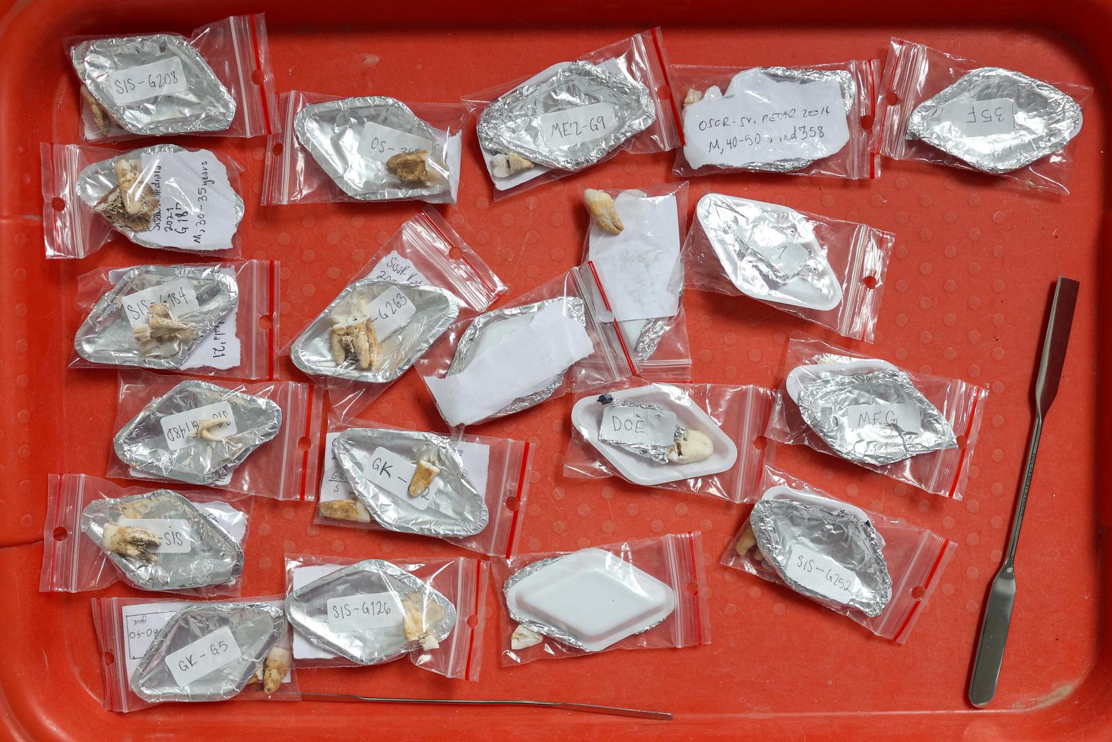 24.04.2026., Institut za antropologiju, Gajeva 32, Zagreb - Otvorenje obnovljenog Instituta za antropologiju.  Photo: Goran Stanzl/PIXSELL