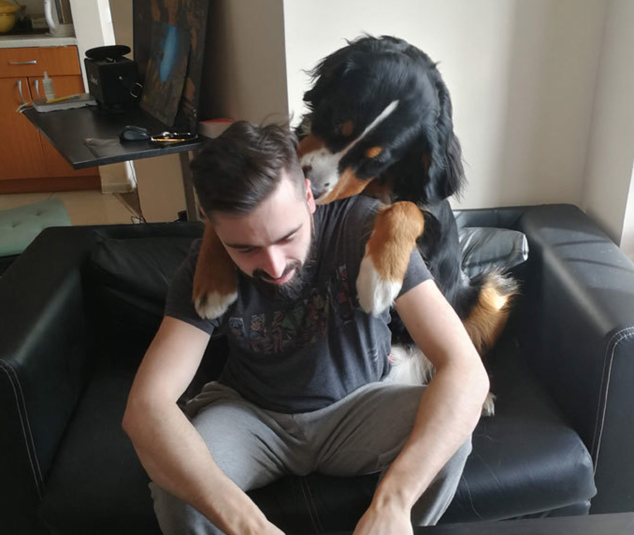 Ovaj pas 'ponudio' je pomoć kako kaže njegov vlasnik. 